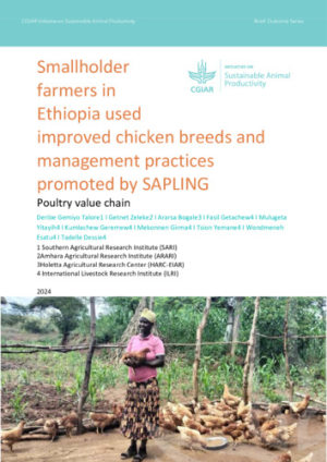 Smallholder farmers in Ethiopia used improved chicken breeds and management practices promoted by SAPLING - Outcome brief.pdf.jpg