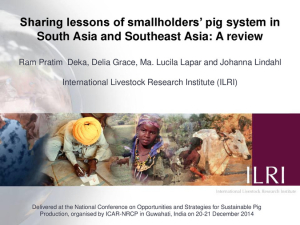 Smallholder pig systems - lessons.pdf.jpg