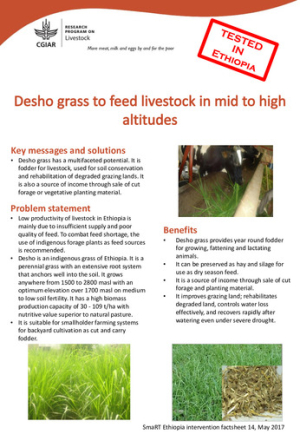 Smart intervention14.pdf.jpg