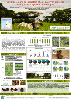Soil Macrofauna as Indicator of Soil Quality in Improved (Silvo-)Pastoral Systems in the Tropics - POSTER.pdf.jpg
