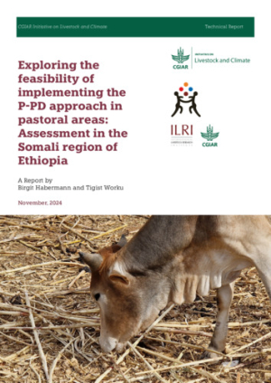 Somali Report_FIN.pdf.jpg