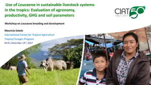 Sotelo Mauricio - Use of leucaena on sustainable livestock systems in the tropics.pdf.jpg