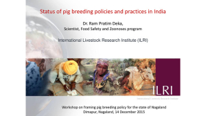 Status of pig breeding policies in India.pdf.jpg