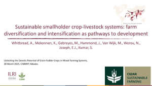 Sustainable smallholder .pdf.jpg