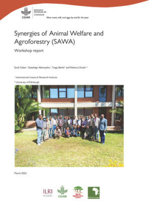 SynergiesAnimalWelfareAgroforestry.pdf.jpg