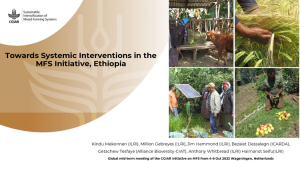 Systemic_Interventions_2023.pdf.jpg