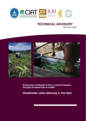 TAN_Cattlefattening_Vietnam_25May2011.pdf.jpg