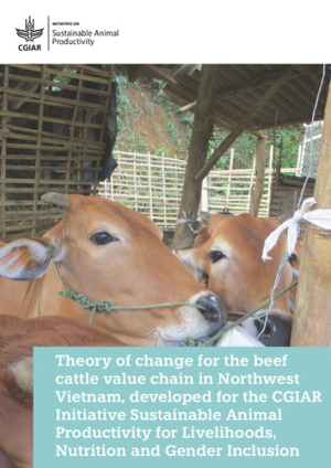 TOC_vietnam_beefCattle.pdf.jpg