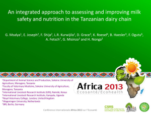 TZ dairy chain.pdf.jpg