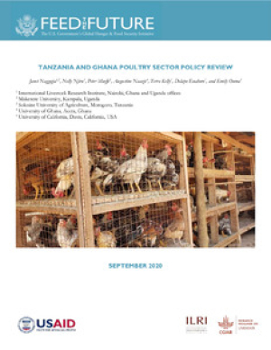 Tanzania and Ghana poultry sector policy review_Brief.pdf.jpg