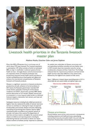 TanzaniaLMP_health.pdf.jpg