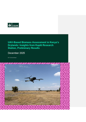 Technical Report-UAV Kapiti.pdf.jpg