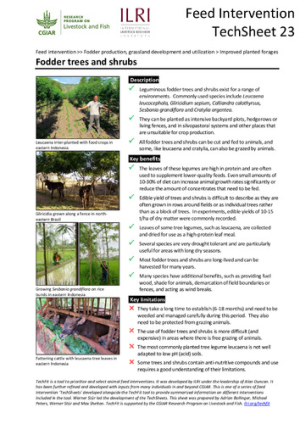 Techsheet23.pdf.jpg
