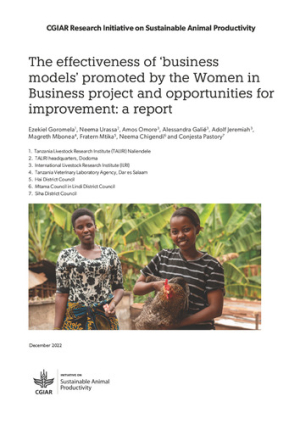 The effectiveness of ‘business models’ promoted by the Women.pdf.jpg