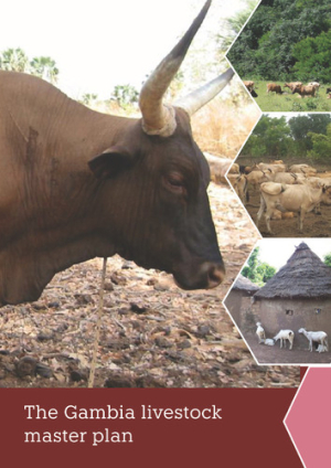 TheGambiaLMP_Roadmaps.pdf.jpg
