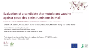 Thermostable PPR.png