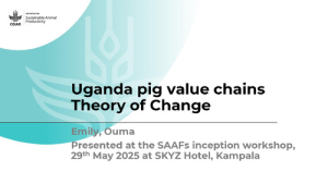 ToC presentation Uganda.pdf.jpg