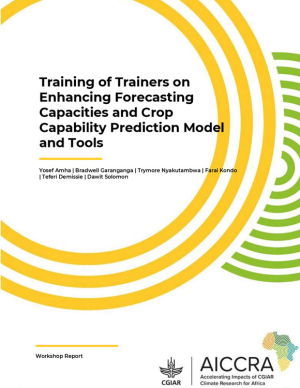 ToT Report Yosef.pdf.jpg