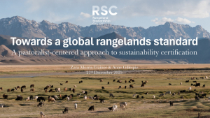 Towards a global rangelands standard.pdf.jpg