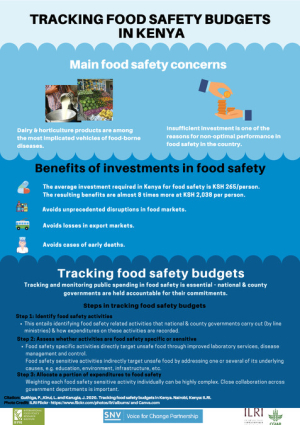 Tracking food safety budgets in KENYA.pdf.jpg