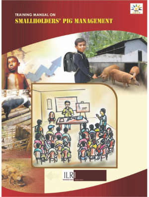 TrainigManual_Pig.pdf.jpg
