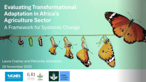 Transformational Adaptation Framework.pdf.jpg