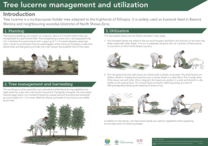 Tree_Lucerne_Management.pdf.jpg