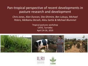 Tropical_pastures.pdf.jpg