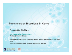 Two stories brucellosis Kenya.pdf.jpg