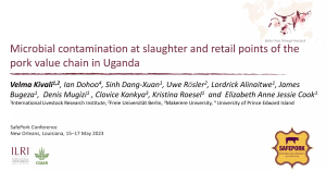 UG pork contamination.png