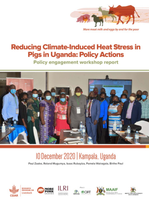 UG_heatstress_policybriefing_report.pdf.jpg