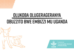 Uganda pig weigh band training manual and recording booklet - Luganda.pdf.jpg