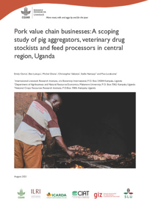 UgandaPigVC_ScopingStudy.pdf.jpg