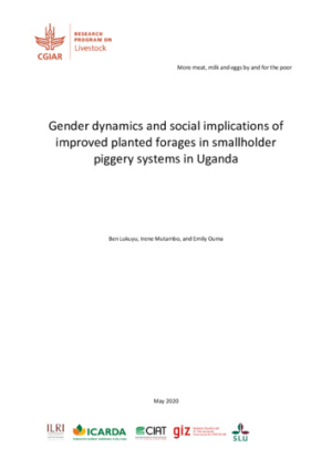 Uganda_pigs_gender_dynamics_may2020.pdf.jpg