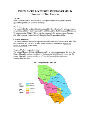 UnderstandingIBLI.pdf.jpg