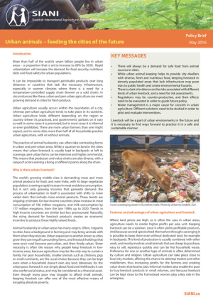 Urban animals brief.pdf.jpg