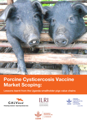 Vaccine market scoping.pdf.jpg