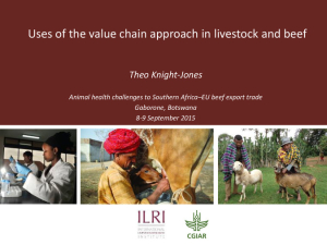 Value chain approach livestock beef.pdf.jpg