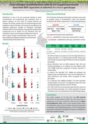 Vazquez et al. 2019. Gross Nitrogen Transformation Rates Do Not Support Previously Described BNI Capacities of Selected Brachiaria Genotypes_web (003).pdf.jpg