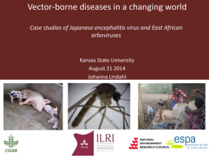 Vector borne diseases.pdf.jpg