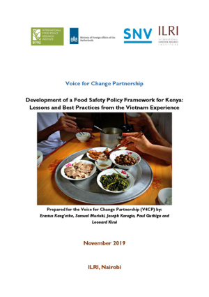 Vietnam Case Study 2019.pdf.jpg