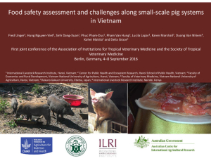 Vietnam pig food safety.pdf.jpg