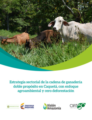 Vision_Amazonia_Ganaderia_Caqueta.pdf.jpg