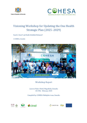 Visioning Workshop Report - Somalia.pdf.jpg