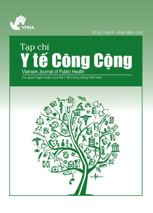 Vn J Public Health.jpg