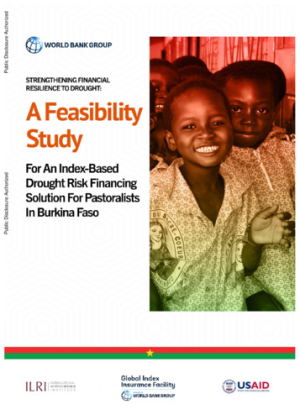 WB_feasibilityStudy_BurkinaFaso.pdf.jpg