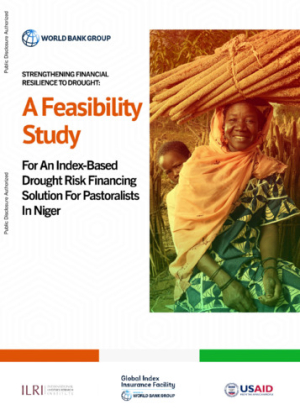 WB_feasibilityStudy_Niger.pdf.jpg