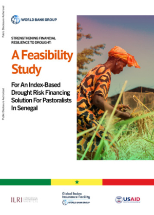 WB_feasibilityStudy_Senegal.pdf.jpg