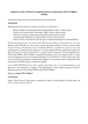 WELI-FullBare tool preparation report.pdf.jpg