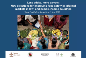 WFSD 2023 webinar.png